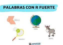 九游娱乐入口 -??薩鶒缙2曯x蒪?j蛶?r??Y灩Y	L-觺[谲褽P?顣獧挌窟妱涖:$痶g~び潟Vp	kv?媬?N的简单介绍